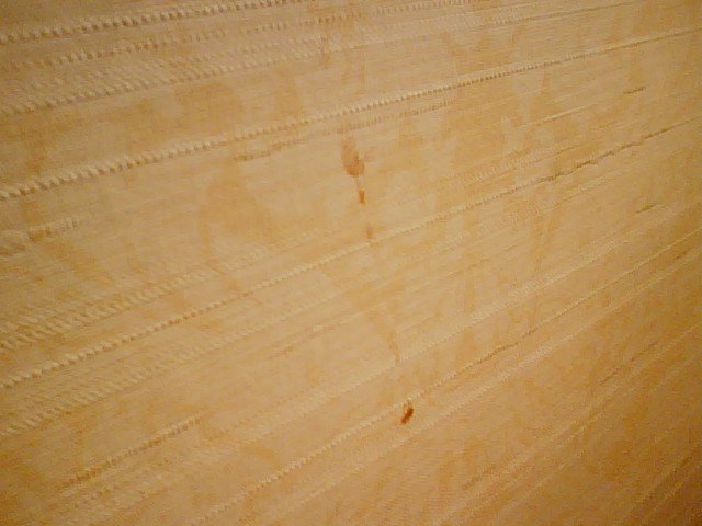 more stains on wallpaper