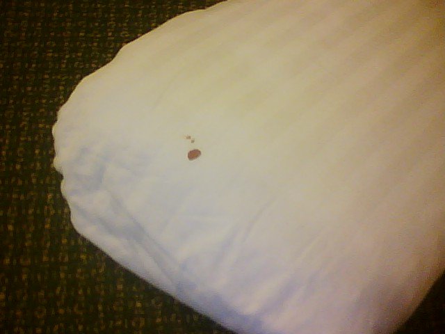 blood stain on pillow holiday inn