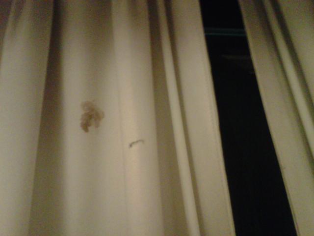 curtain stain at holiday inn hotel