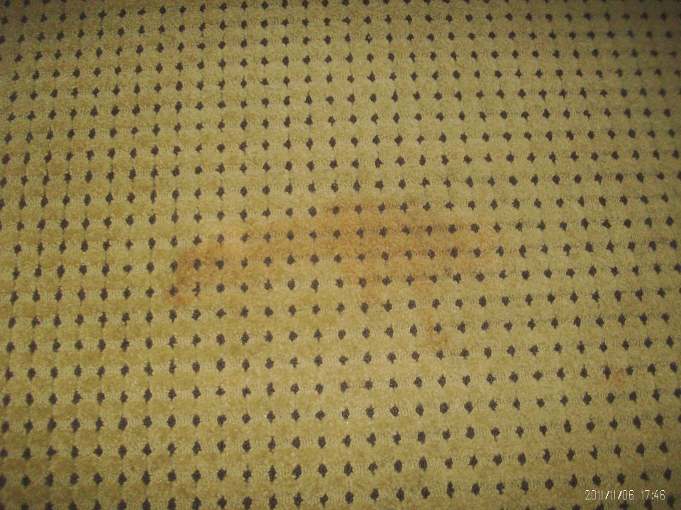 bloody carpet