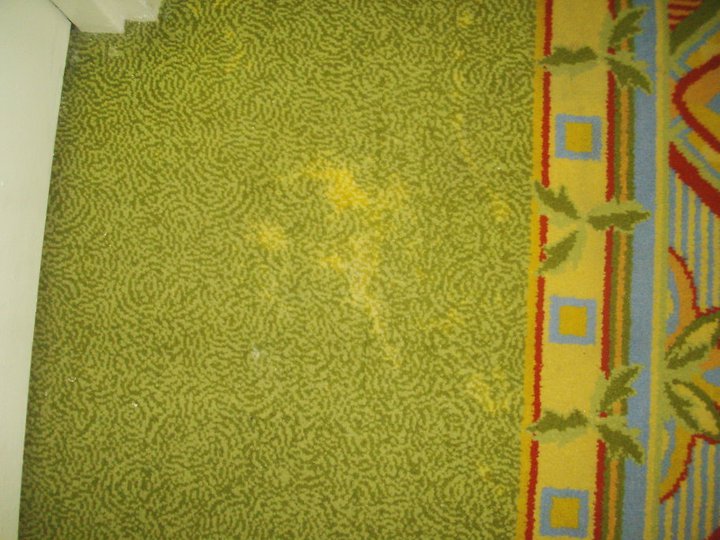 green dated carpet with puke stain