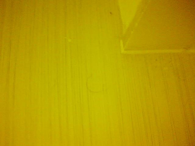 hair on yellow floor of filthy hotel room