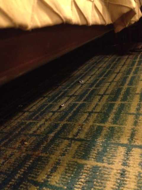 nasty things under hotel bed