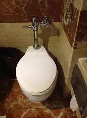 Sassy Toilet at a Layover Hotel