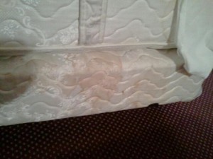 stained queen bed at Quality Inn-Anaheim