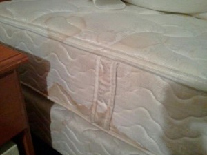 stained queen bed at Quality Inn-Anaheim