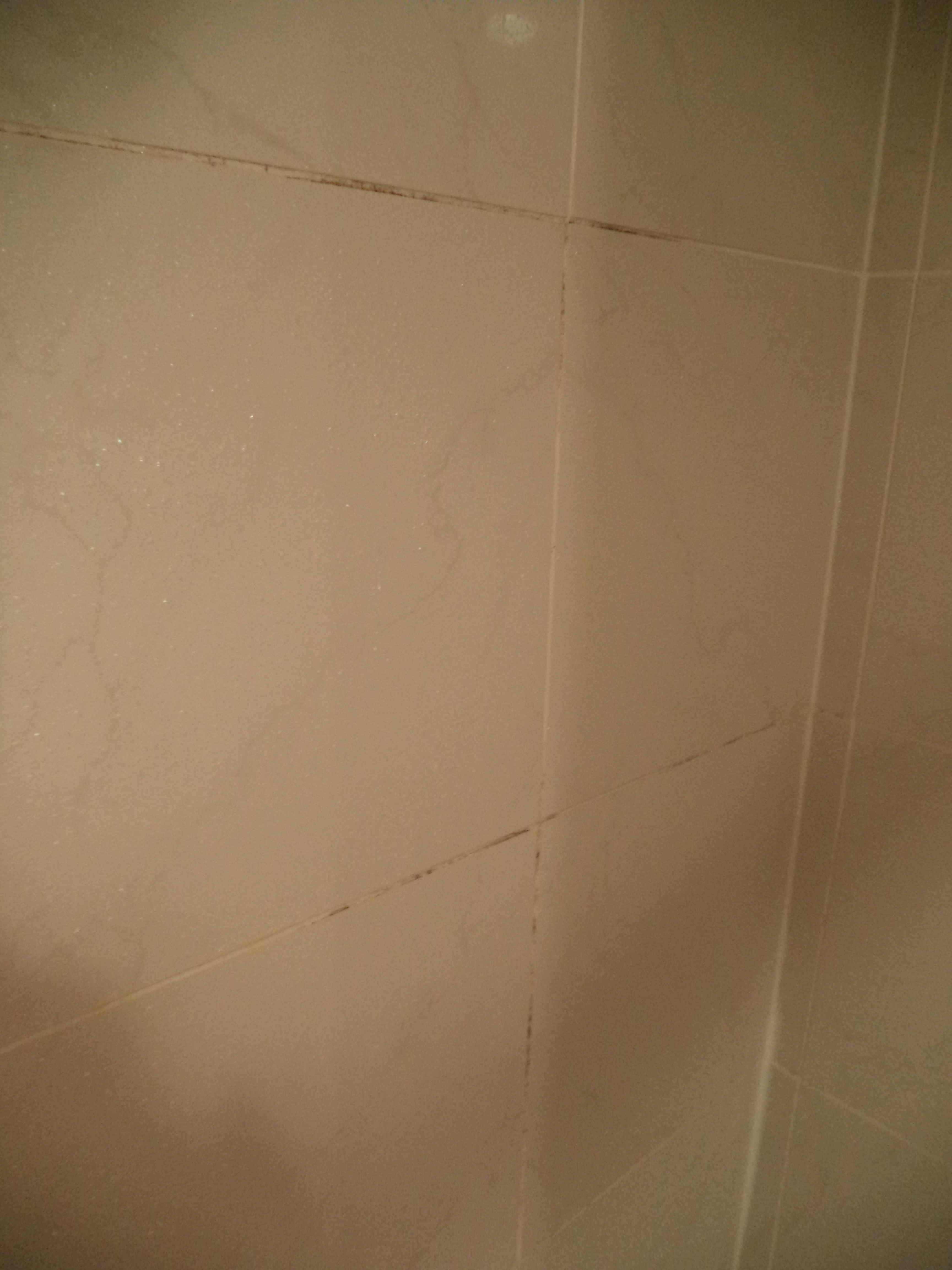 The Stuff That People Deposit On Shower Tile