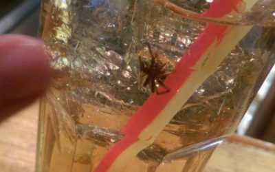 Along Came A Spider