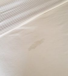 More Queasy Finds From The Flight Attendant Community