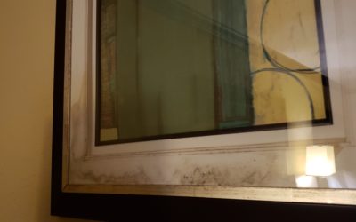 Moldy Moments In Hotel Art