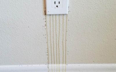 This Can’t Be Good