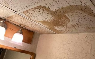 Another Great Moment In Ceiling Leakage