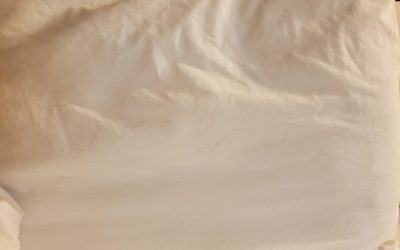 Who Doesn’t Want To Sleep On Someone Else’s Hair?