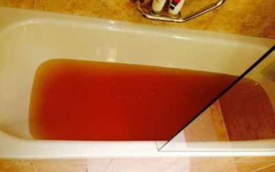Literally A Blood Bath
