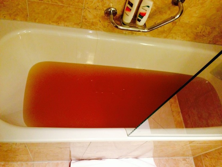 Literally A Blood Bath