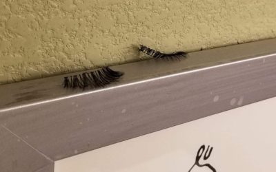 One Of The Weirder Things Ever Left Behind In A Hotel
