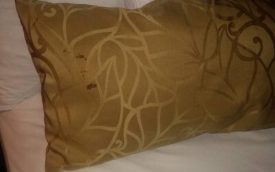 As They Would Say In The UK, “Bloody Pillow!”