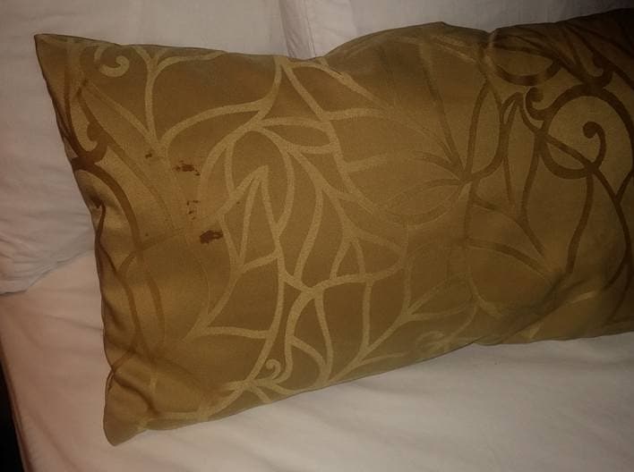 As They Would Say In The UK, “Bloody Pillow!”