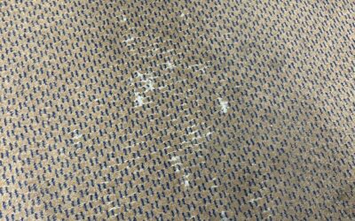 That Is One Threadbare Carpet