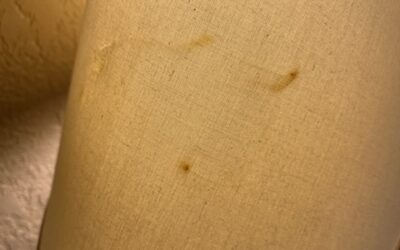 Random Moments Of Hotel Lampshade Snot
