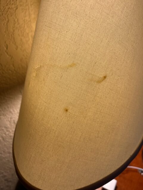 Random Moments Of Hotel Lampshade Snot