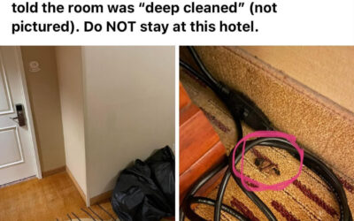 A Really Crappy Review…Literally