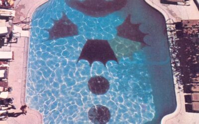 Swim At Your Own Risk